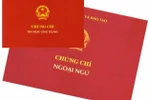 Cắt giảm chứng chỉ phải gắn với nâng cao chất lượng đào tạo, bồi dưỡng cán bộ