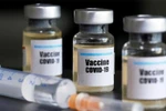 Chính phủ tạo mọi điều kiện cho TP.HCM nhập khẩu vaccine phòng COVID-19