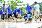 Thanh niên xung phong làm ở vùng đặc biệt khó khăn được miễn nhập ngũ