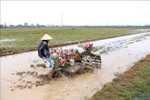 Kéo dài thời gian hỗ trợ phí bảo hiểm nông nghiệp đến hết năm 2021