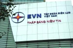 Phát triển EVN thành Tập đoàn kinh tế mạnh