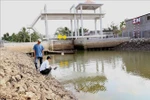 Thủ tướng chỉ đạo ứng phó xâm nhập mặn, thiếu nước tại Đồng bằng Sông Cửu Long