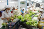 Đến 2030, giá trị kim ngạch xuất khẩu rau quả đạt 8-10 tỷ USD