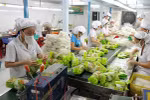 Đến 2030, giá trị kim ngạch xuất khẩu rau quả đạt 8-10 tỷ USD
