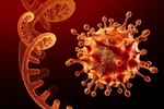 Yêu cầu Bộ Y tế bảo đảm cấp đủ thuốc kháng virus (túi thuốc C) cho địa phương