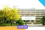 Dạy, học và thi trực tuyến: Làm sao cho hiệu quả?