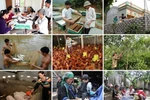 Đẩy mạnh thực hiện chính sách giảm nghèo bền vững nhân Ngày vì người nghèo VN