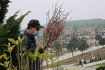 Người dân Thủ đô đeo khẩu trang đi tảo mộ, "rước" gia tiên về ăn Tết 