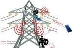 TTĐ miền Đông 2: ứng dụng công nghệ số, khoa học công nghệ trong vận hành