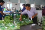 Tập trung phát triển 15.000 hợp tác xã hoạt động có hiệu quả