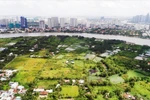 Nghiên cứu ý kiến của Giáo sư Đặng Hùng Võ về xử lý dự án "treo"