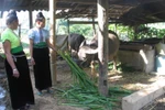 Thủ tướng yêu cầu tiếp thu vấn đề xây dựng chính sách dân tộc