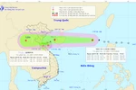 Phó Thủ tướng Trịnh Đình Dũng chỉ đạo ứng phó bão số 3