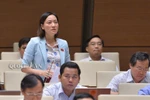 Đại biểu ngành y cảm thấy cán bộ y tế bị gạt ra khỏi hệ thống đào tạo chung