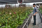 Xác định rõ tiêu chí chọn dự án khoa học công nghệ cho xây dựng nông thôn mới