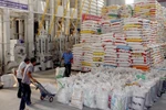 Quy định mới về điều kiện kinh doanh xuất khẩu gạo