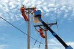 Tiếp tục bố trí vốn cho Dự án cấp điện nông thôn tỉnh Cà Mau