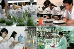Phát triển nguồn tin khoa học và công nghệ