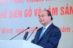 Kiên quyết đóng cửa rừng tự nhiên, không phá rừng làm cây công nghiệp