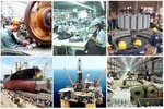 Tăng cường kiểm tra việc chuyển đơn vị sự nghiệp công lập thành công ty cổ phần