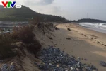 Tập trung khắc phục sạt lở bờ biển, ứng phó hiện tượng ElNino