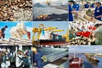 Hoàn chỉnh Nghị định quy định chi tiết Luật Quản lý ngoại thương