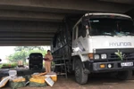 Thanh Hóa bắt giữ 2,5 tấn thực phẩm bẩn đang trên đường vận chuyển đi tiêu thụ