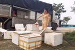 Bắt giữ vụ vận chuyển 250 kg gà đông lạnh không rõ nguồn gốc