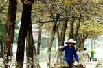 Chùm ảnh: Ngược xuôi những gánh hàng rong