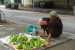 Video: Xót xa cảnh "dị nhân" hơn 60 năm bán chuối ở Hà thành