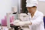 Đầu năm so sánh chất xám nông dân và tiến sĩ