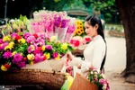Mê mẩn với sắc xuân muôn màu qua ống kính nhiếp ảnh Việt