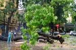 Nguy cơ bão số 14 đổ bộ và gây thiệt hại lớn tại các tỉnh miền Bắc