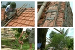 Hướng dẫn cách tránh trú bão an toàn