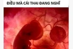 Sững người: Suy nghĩ của cô gái trẻ phá thai và cái thai bị phá