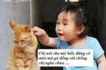 'Phì cười' với bộ ảnh siêu hài thế giới động vật