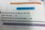 Nhiều bài tập lớp 1, 2 đánh đố học sinh, làm khó phụ huynh