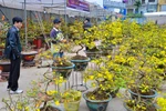 Tết phương Nam