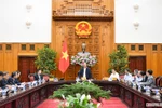 Thủ tướng chỉ đạo tìm giải pháp giúp nông dân khi giá gạo giảm