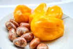 Hạt mít có tác dụng ngăn ngừa ung thư