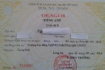 Chúng tôi đã ghi danh, nộp tiền và tất cả đều có chứng chỉ, thế thôi