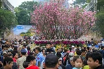 Hà Nội công bố đường dây nóng xử lý thông tin mùa lễ hội