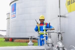 Tập đoàn Dầu khí Việt Nam hoàn thành các chỉ tiêu cơ bản sau 8 tháng