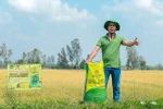 Đạm xanh Đạm Cà Mau mang lại năng suất cao, lợi nhuận nhiều