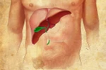 19 loại rau củ quả hỗ trợ ngăn ngừa các bệnh về gan
