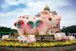 Thấy trời xuân rộn ràng ở lễ hội “Heo vàng gõ cửa” tại Sun World Danang Wonders