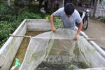 Quy định mới về tổ hợp tác