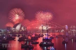 Hình ảnh thế giới rộn ràng mừng đón Năm mới 2019