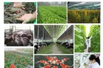 Phải thu hút doanh nghiệp đầu tư cho nông nghiệp