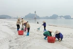 Những người lặng lẽ làm đẹp cho những điểm đến